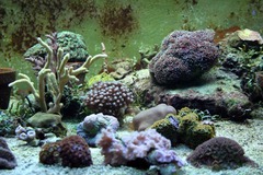 Killikus&reg; Fotographie